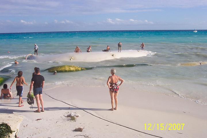 Cancun 064.jpg